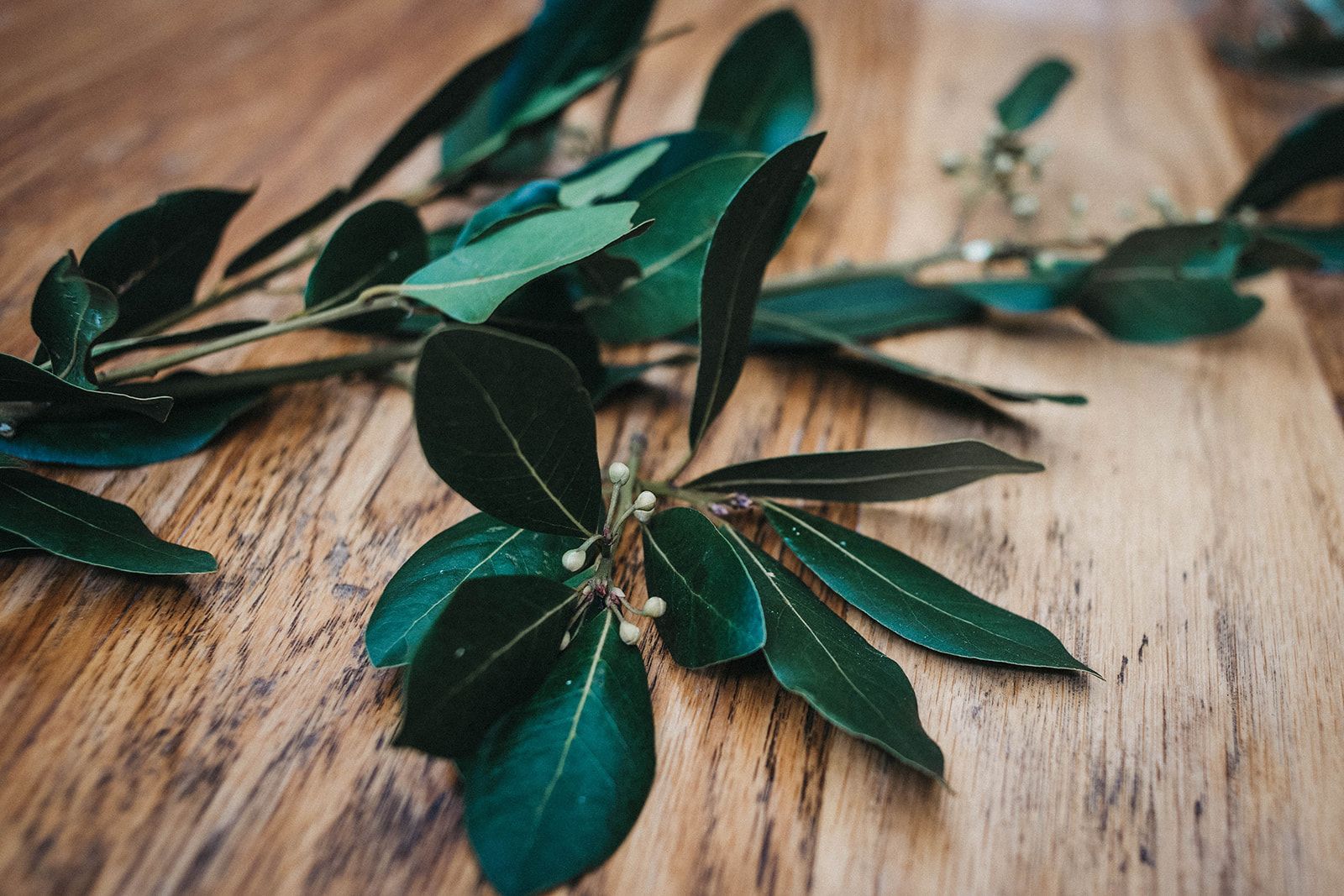 Tratamientos Faciales Illa Spa · Jardí de Ses Bruixes Collection