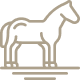 Minorca by land · Horses